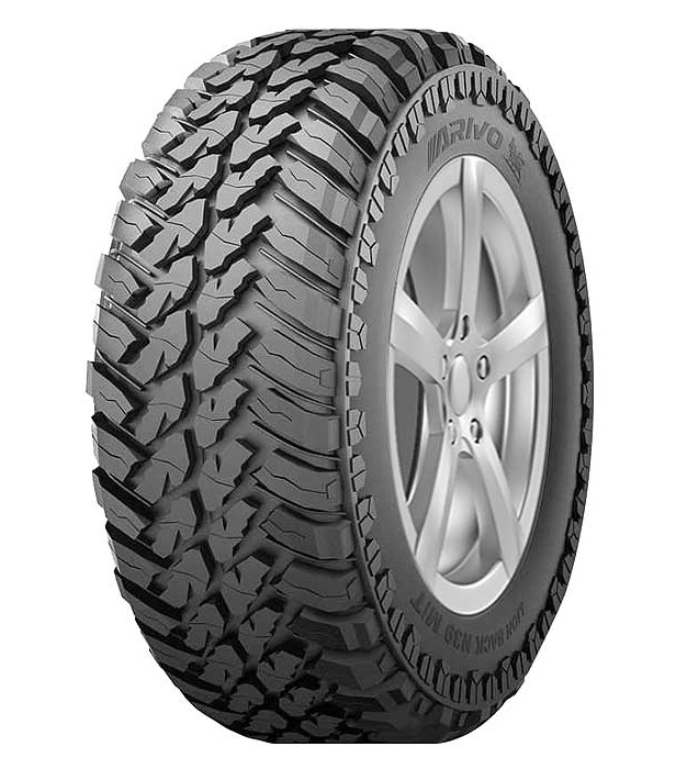 Lion-Back-N39-MT