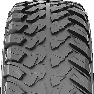 Arivo-Lion-back-N39-MT-2