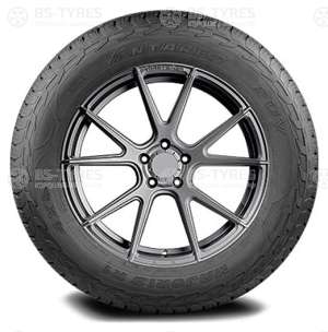 Majoris R1