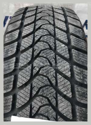 Delinte Winter WD1 175/70 R14 88T