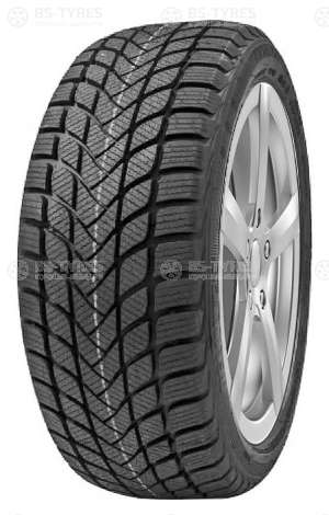 Delinte Winter WD6 195/55 R16 87H