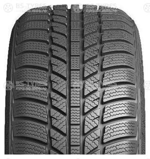 Evergreen Winter EW62 195/60 R15 88T