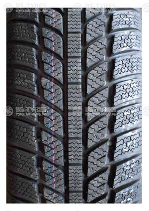 Evergreen Winter EW62 195/60 R15 88T