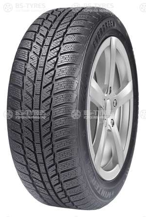 Evergreen Winter EW62 195/60 R15 88T