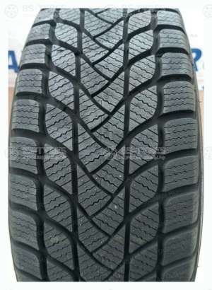 Landsail Winter Lander 195/55 R16 87H