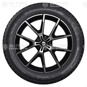 Triangle Snow PL01 225/55 R18 102R