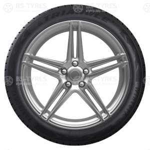 Triangle WinterX TW401 195/55 R16 91H