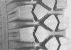 prohodimaya